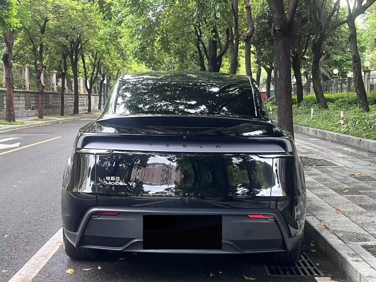 Tesla 2026 Model Y long endurance rear wheel drive version (modified) automatic gear 12