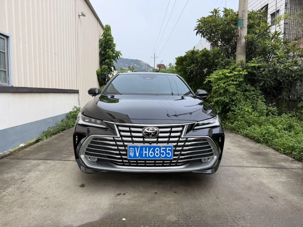 Toyota 2024 Asian Dragon 2.0 Stepless Enterprising Edition Automatic Gear 2