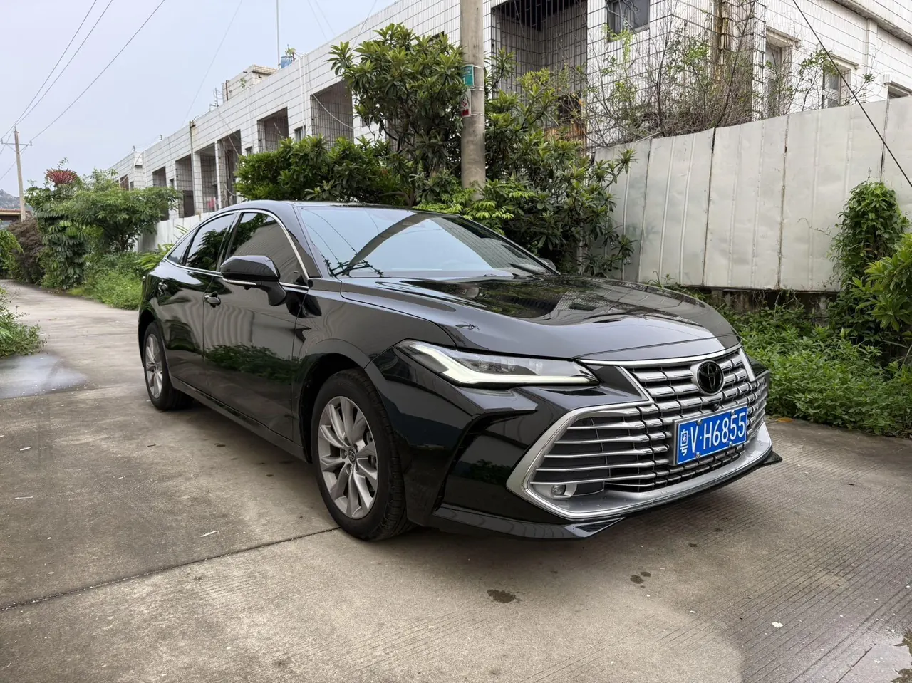 Toyota 2024 Asian Dragon 2.0 Stepless Enterprising Edition Automatic Gear 3