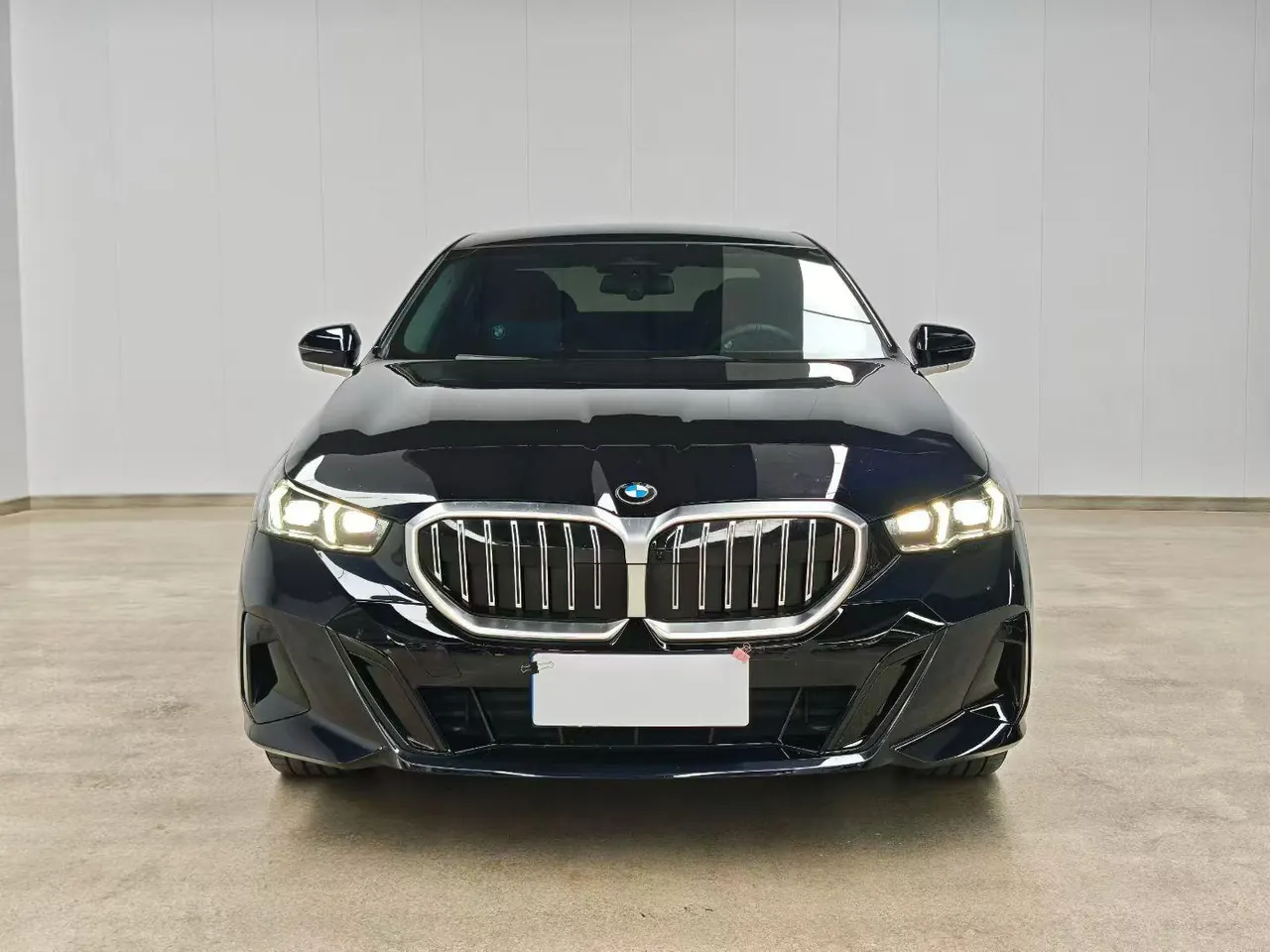 BMW 5 Series 2025 530Li 48V 2.0T Leading M Sports Suit Automatic Gear 2