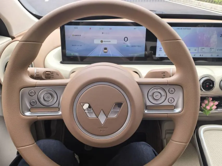 WuLing 2025 Plantronics 333km LingBox Connected Automatic Gear 4