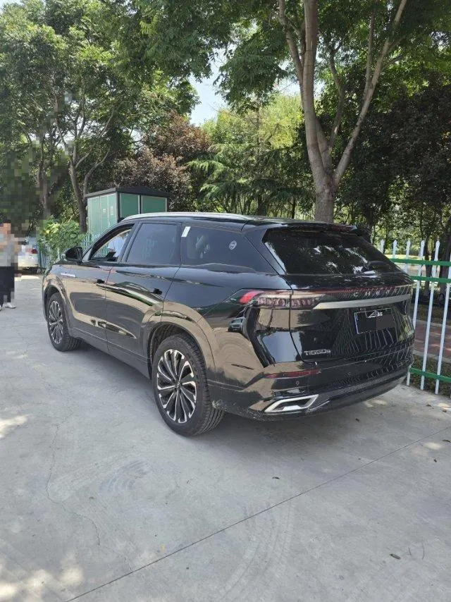 Chery 2025 Ruihu 9 2.0T Two-Drive Black Samurai Edition 5-seat Automatic Gear 5