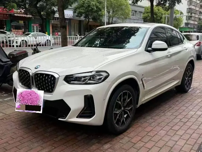 BMW X4 (Imported) 2022 X4 xDrive30i 2.0T M Sports Suit Automatic Gear - View 1