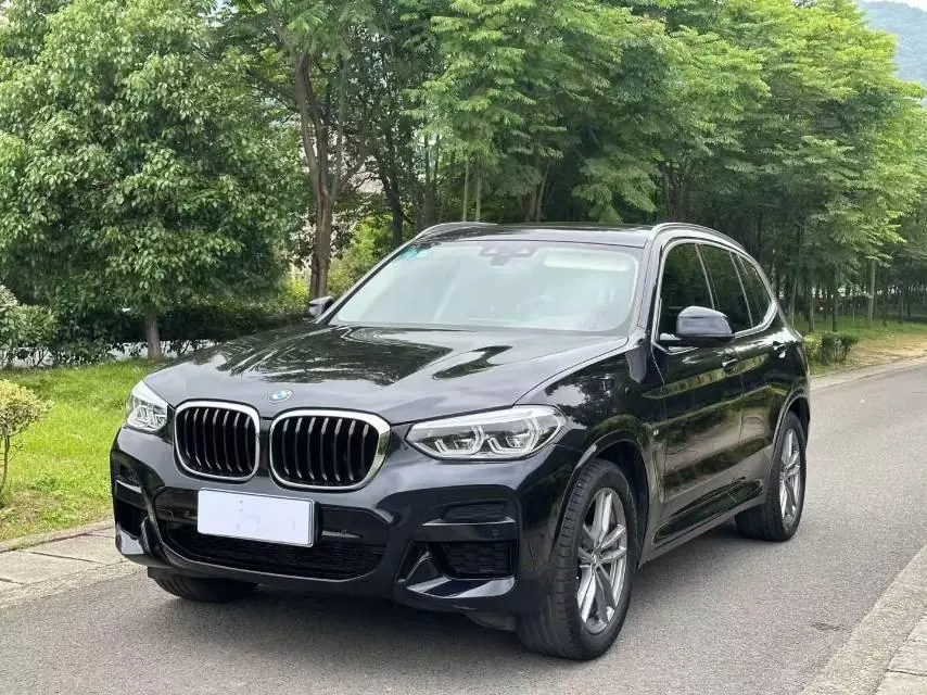 BMW 2020 X3 xDrive28i 2.0T M sports suit automatic gear - View 1