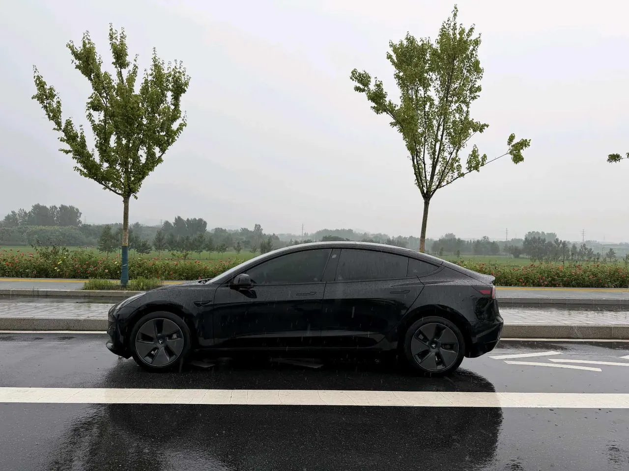 Tesla 2022 Model 3 rear-wheel drive version of automatic transmission 3