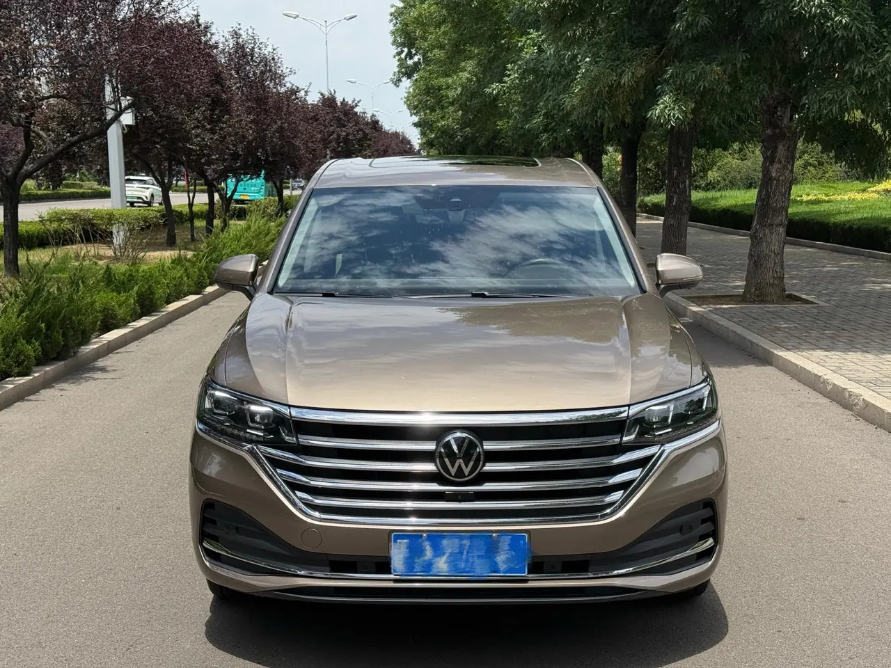 Volkswagen 2022 Wei (Viloran) 2.0TSI 380TSI Zunchi Edition Automatic Gear 2