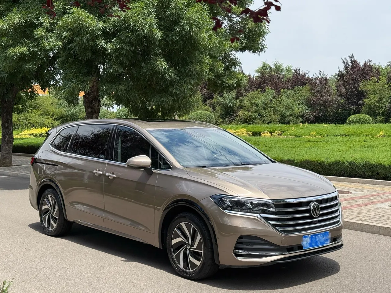 Volkswagen 2022 Wei (Viloran) 2.0TSI 380TSI Zunchi Edition Automatic Gear 3
