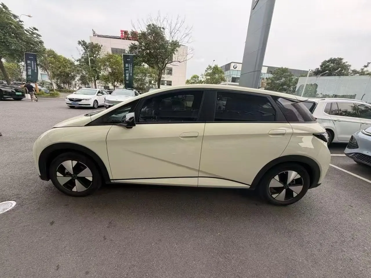 BYD 2023 Dolphin 420km Fashion Edition Automatic 2