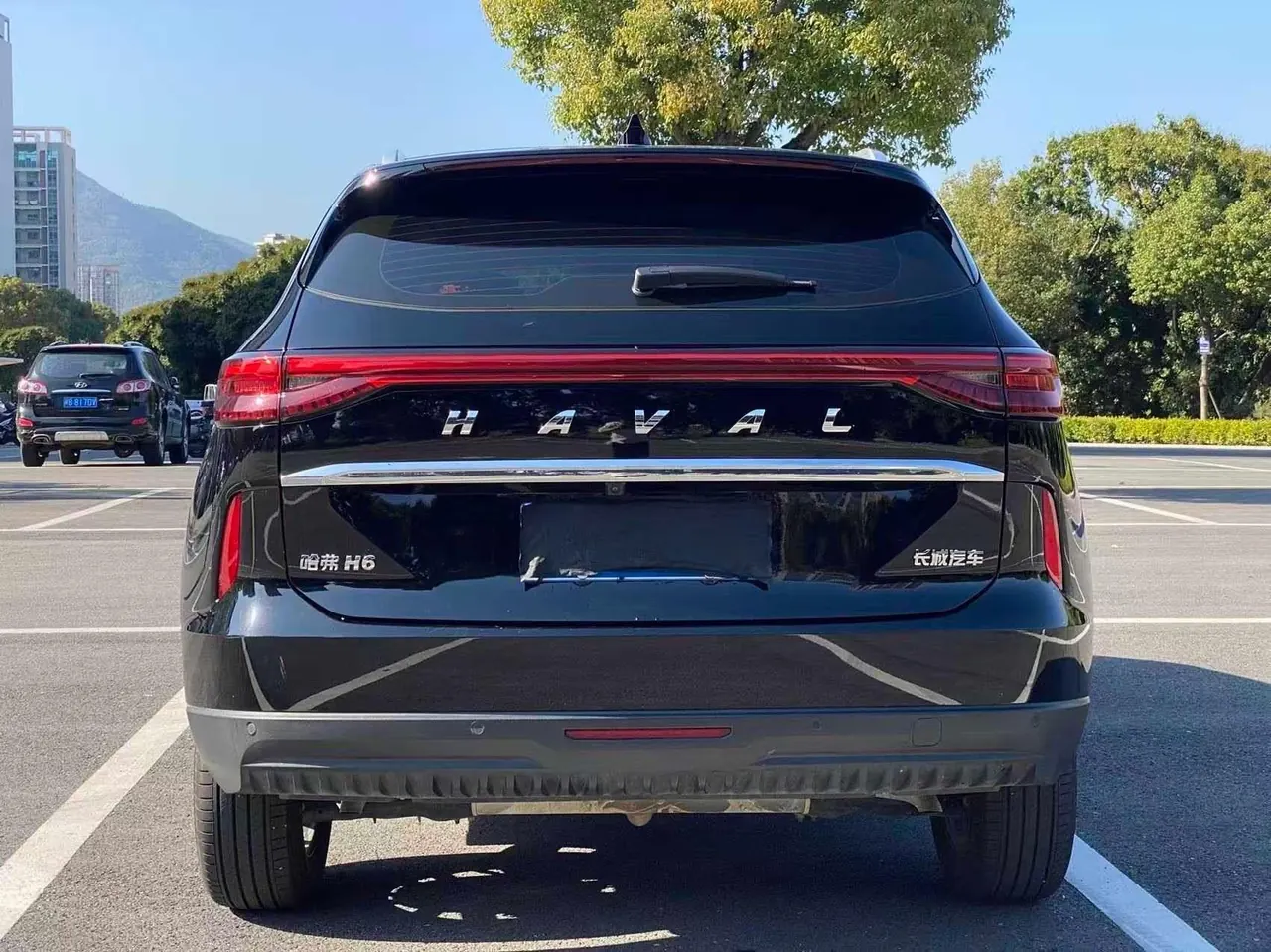 Haval 2024 H6 1.5T Two-Drive Pro Auto 8