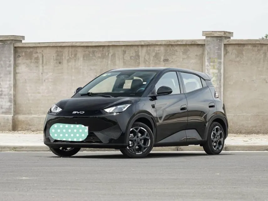 BYD 2025 Seagull Smart Driving Edition 405km Flying Edition Automatic Gear - View 1
