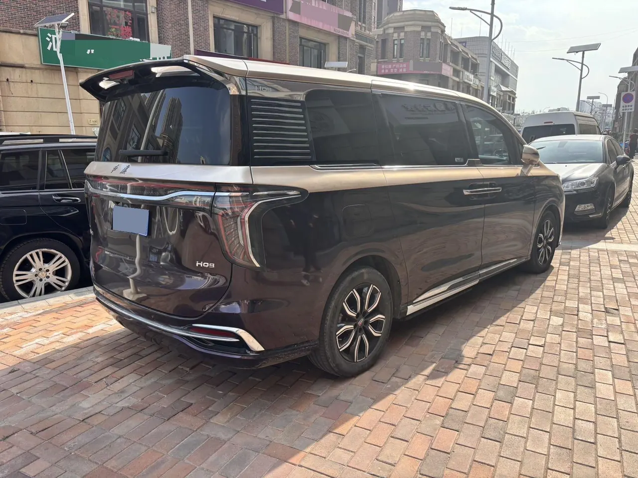 HongQi 2023 HQ9 48V 2.0T Zhilian Flag Collar Edition Automatic Gear 9