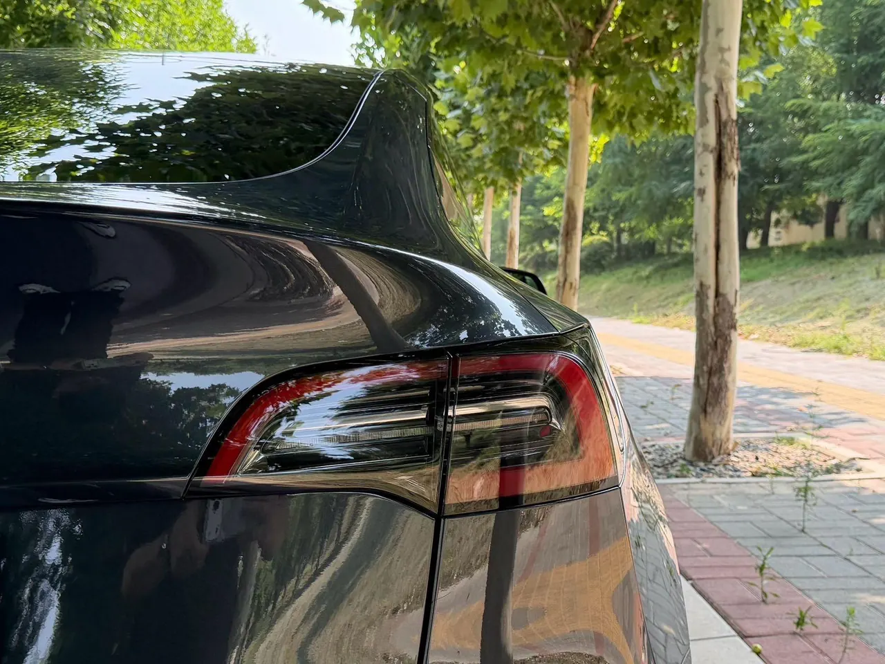 Tesla 2024 Model Y rear-wheel drive version automatic transmission 15