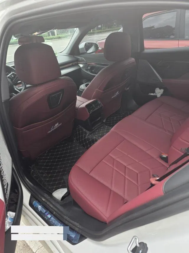 BMW 5 Series 2025 530Li 48V 2.0T Leading M Sports Suit Automatic Gear 2