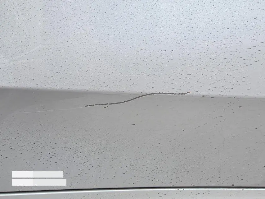BMW 5 Series 2025 530Li 48V 2.0T Leading M Sports Suit Automatic Gear 7