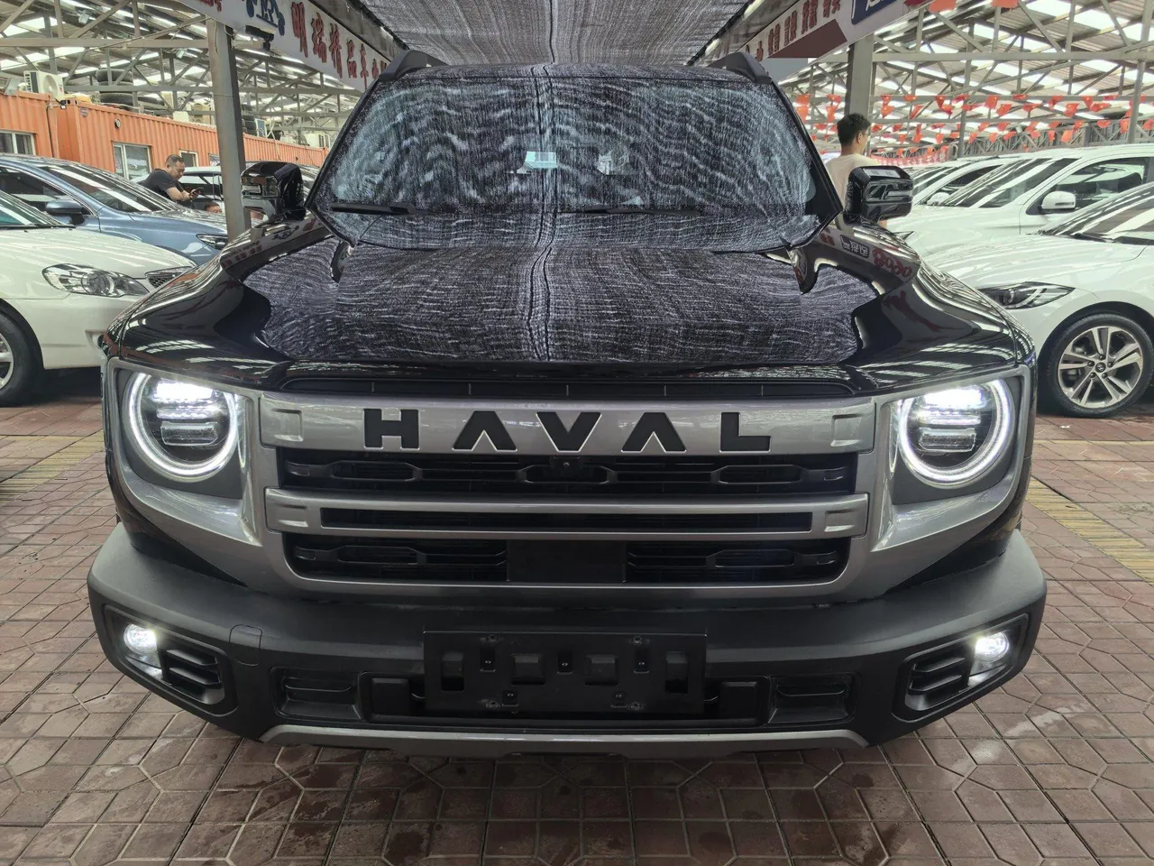 Haval 2024 big dog 2.0T Chinese garden dog version automatic gear 5