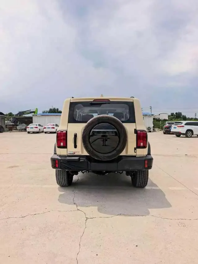 Tank 2025 model Tank 300 Hi4-T 2.0T Hi4-T automatic transmission 9