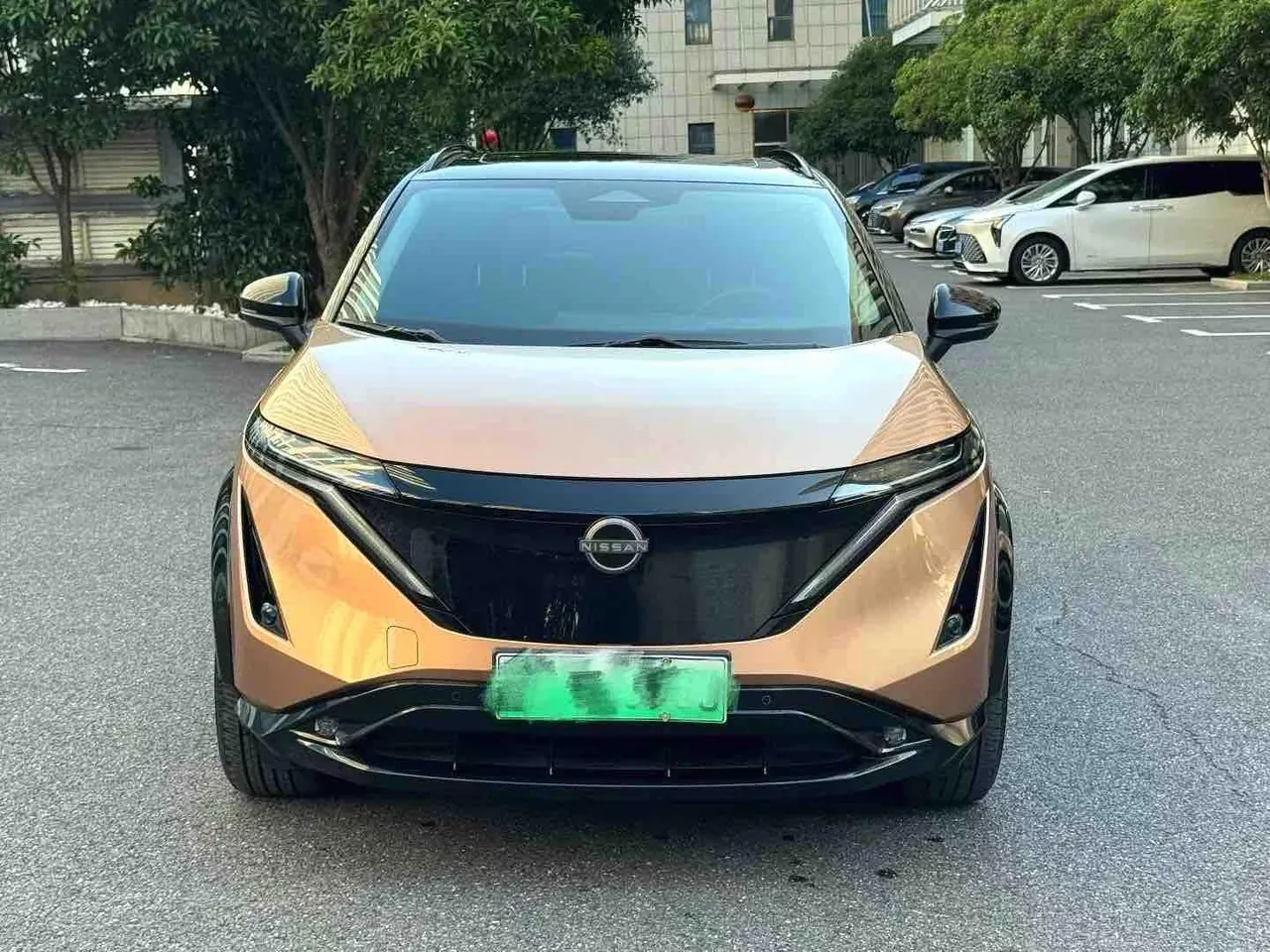 Nissan 2022 Ariya (Ariya) Two-Drive Long-Range Automatic Gear 2