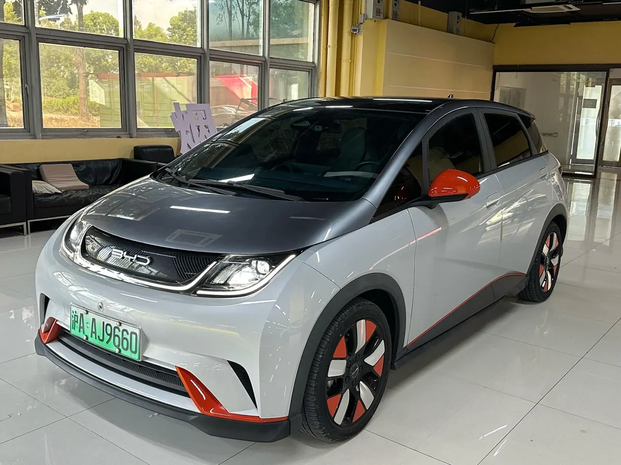 BYD 2021 Dolphins 401km Knight Edition Automatic Gear - View 1