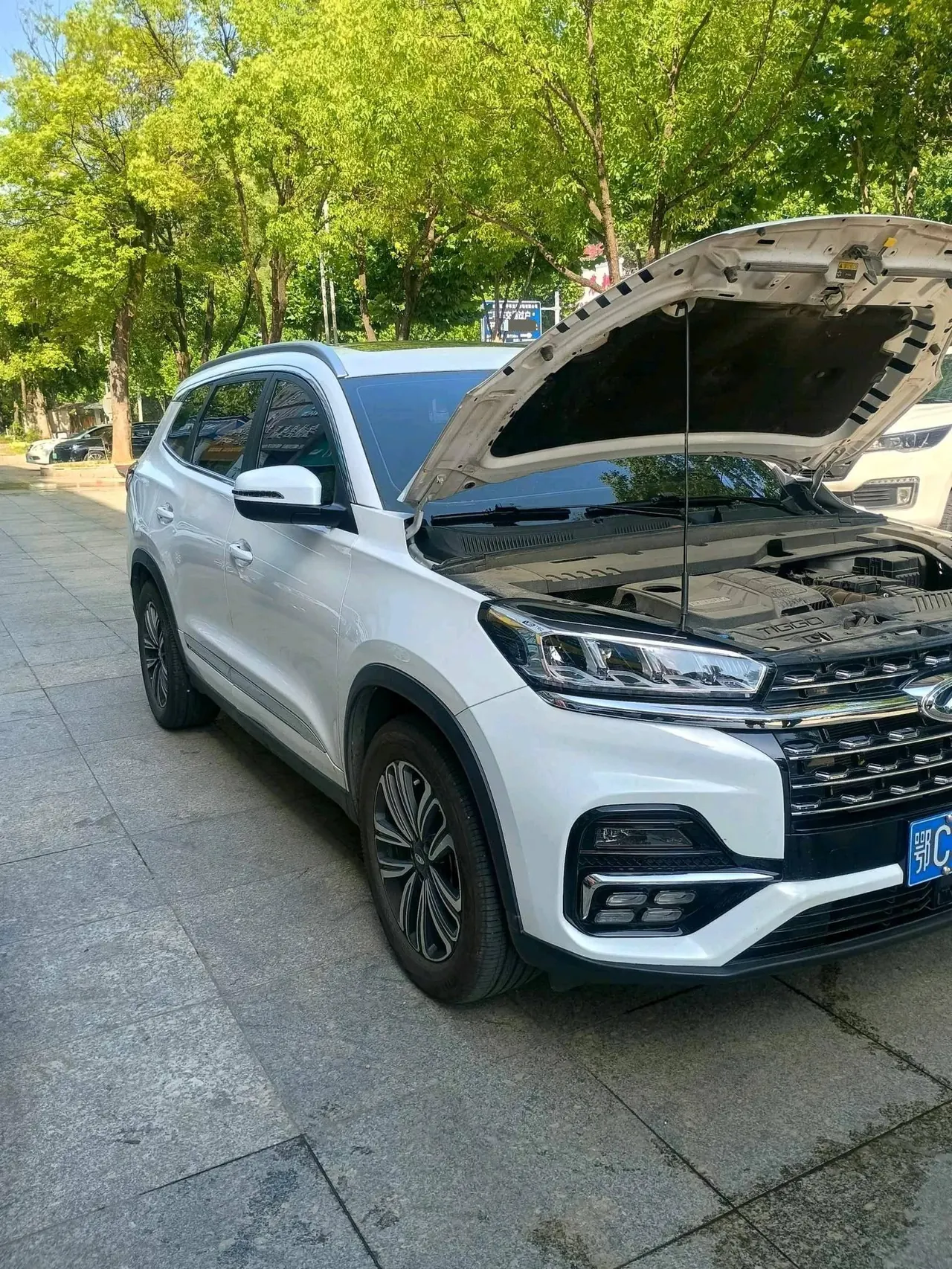 Chery 2021 Ruihu 8 2.0TGDI 390TGDI Kunpeng Edition by Wind Edition Automatic Gear 3