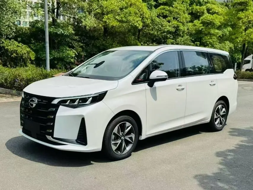 Chuanqi 2023 M6 PRO 1.5T 270T Deluxe Edition Automatic Gear - View 1