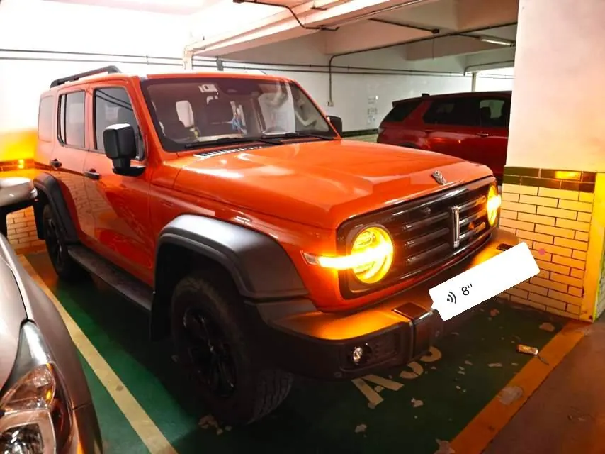 Tank 2021 Tank 300 2.0T Off-road Conqueror Automatic 3