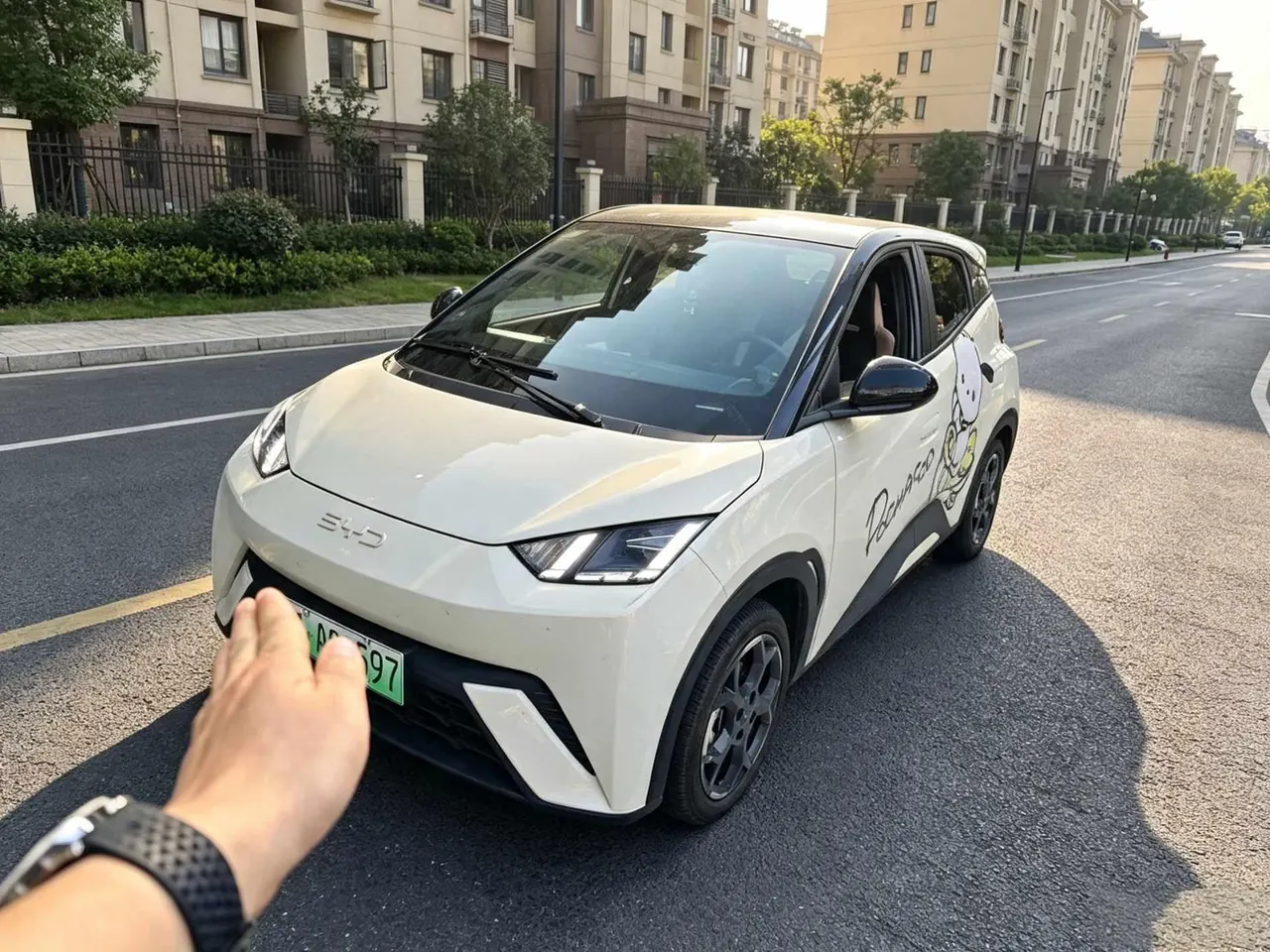 BYD 2024 Seagull Glory Edition 405km Flying Edition Automatic Gear - View 1