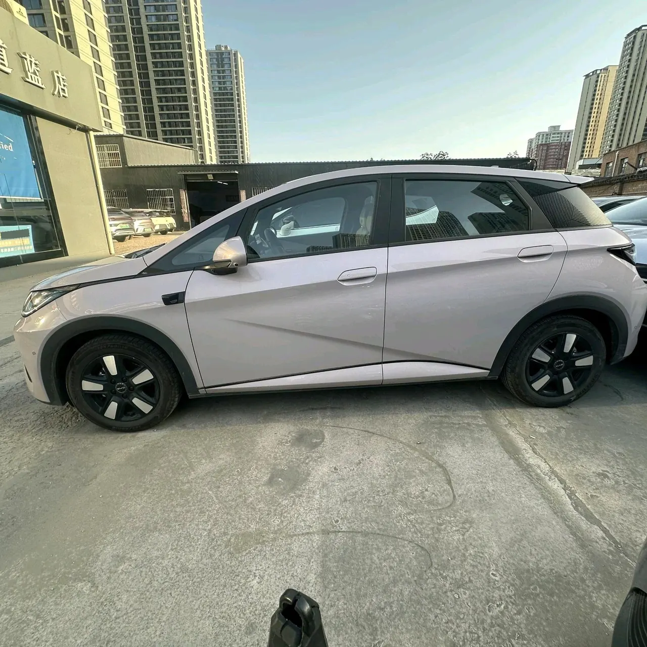 BYD 2025 Dolphin Smart Driving 410km Fashion Automatic Gear 10