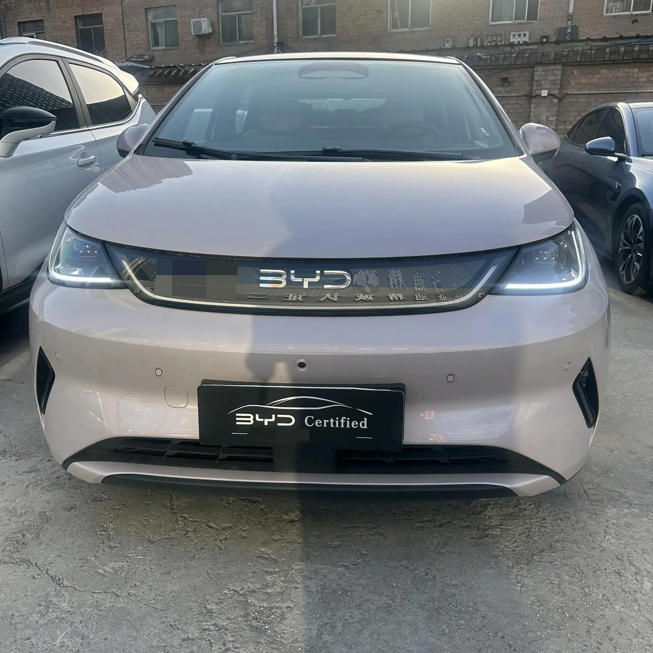 BYD 2025 Dolphin Smart Driving 410km Fashion Automatic Gear 2