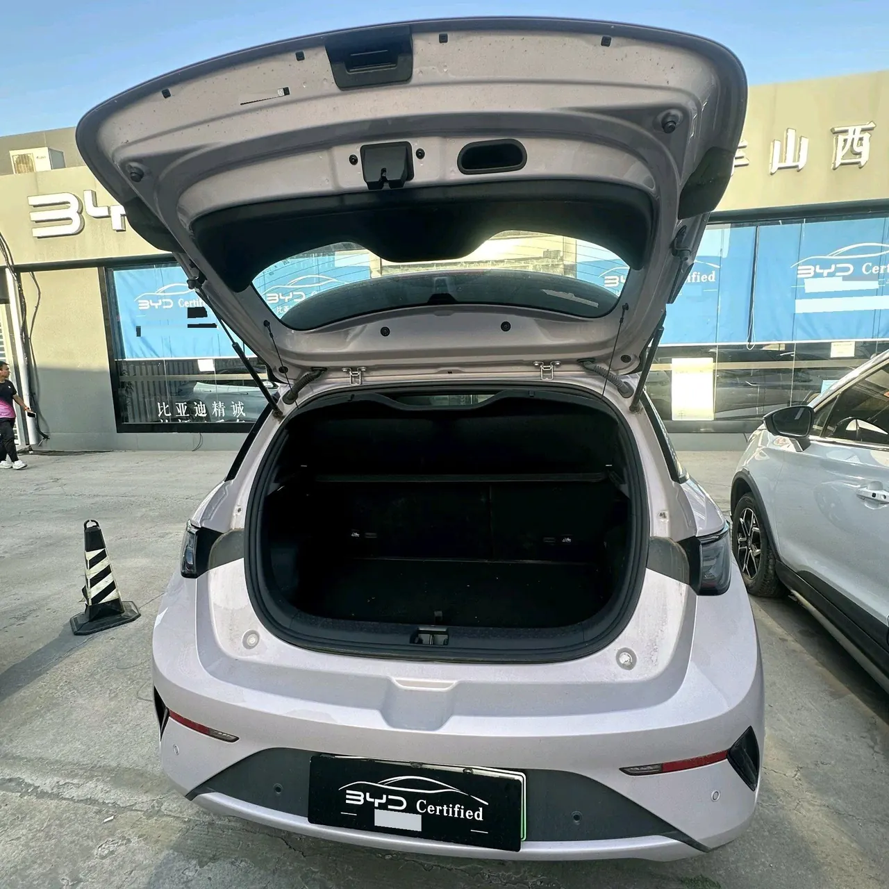 BYD 2025 Dolphin Smart Driving 410km Fashion Automatic Gear 8