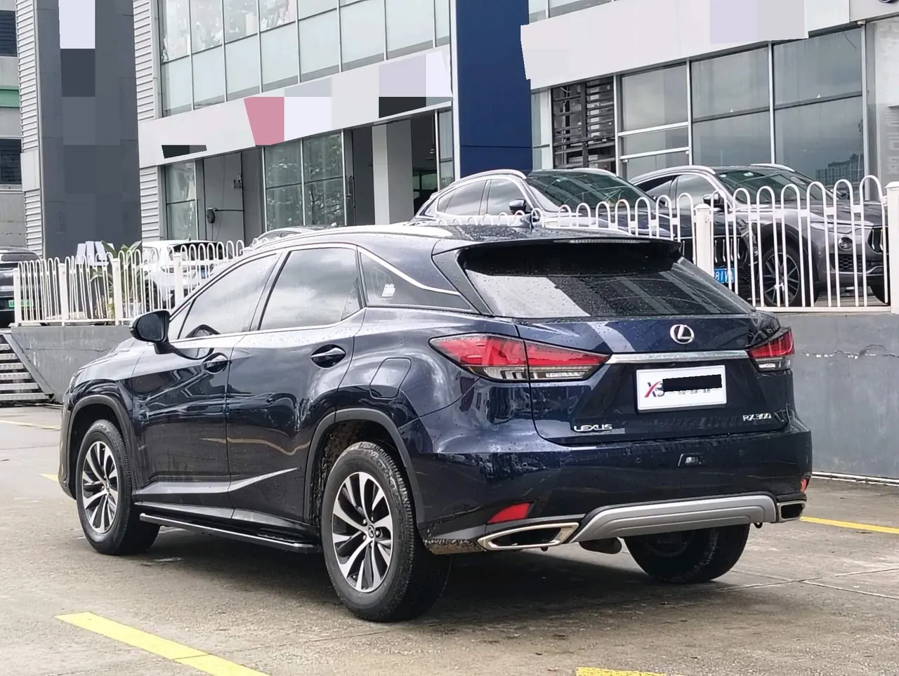 Lexus RX (Imported) 2020 RX300 2.0T Two-Drive Elite Edition (Revised) Automatic Gear 5