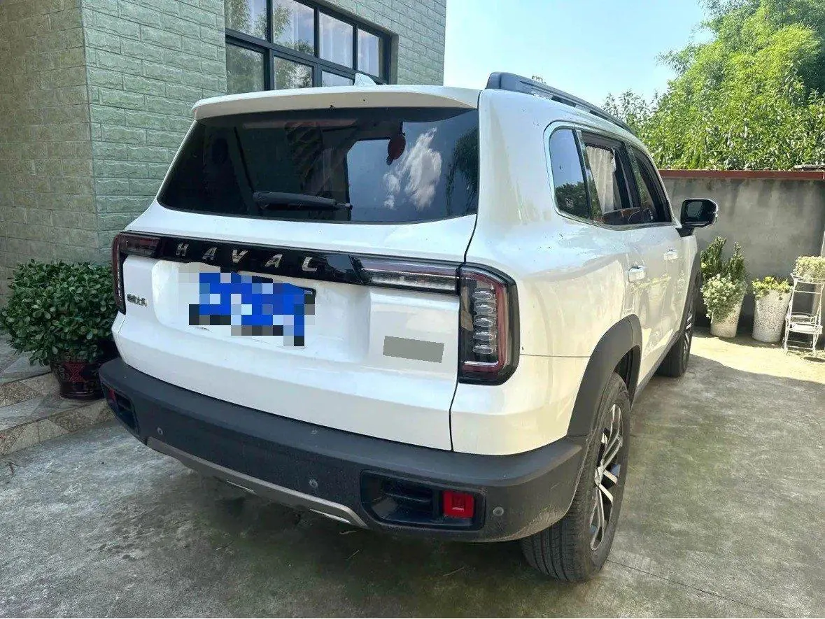 Haval 2021 Big Dogs 1.5T Border Animal Husbandry Wangcai Edition Automatic Gear 2