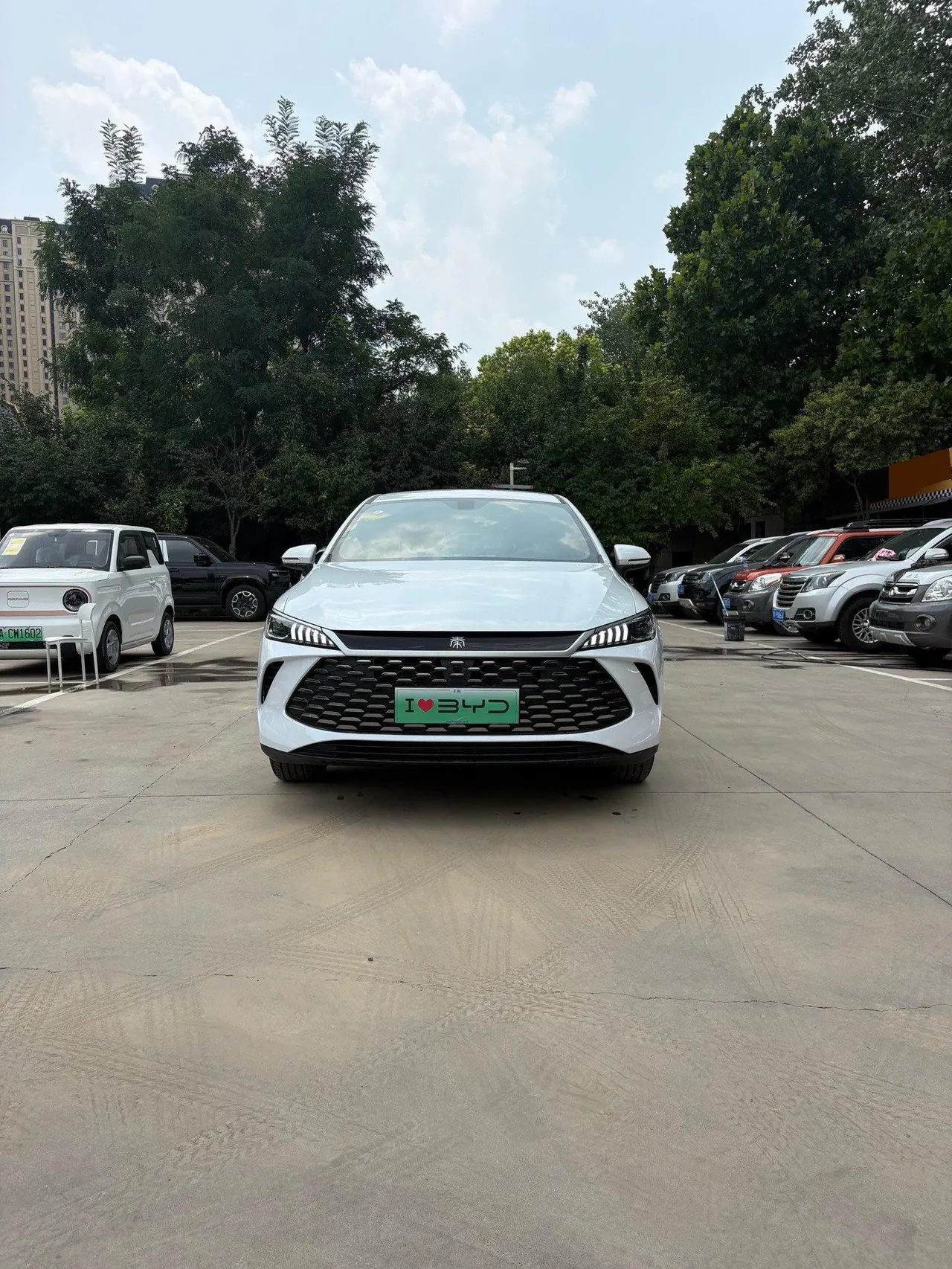 BYD 2026 Qin PLUS DM-i 1.5 CVT 128km Entry-Level Automatic 2