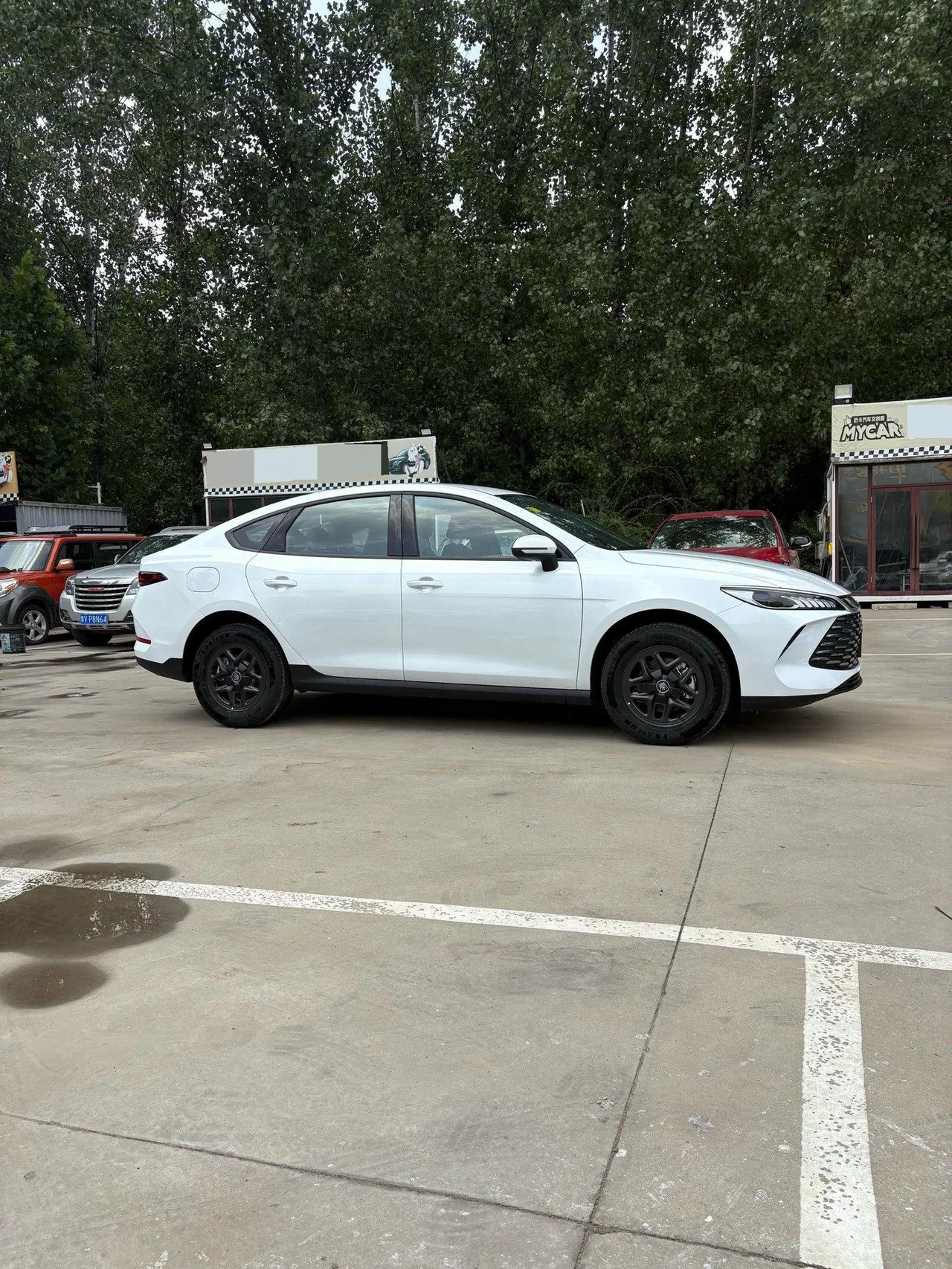 BYD 2026 Qin PLUS DM-i 1.5 CVT 128km Entry-Level Automatic 3