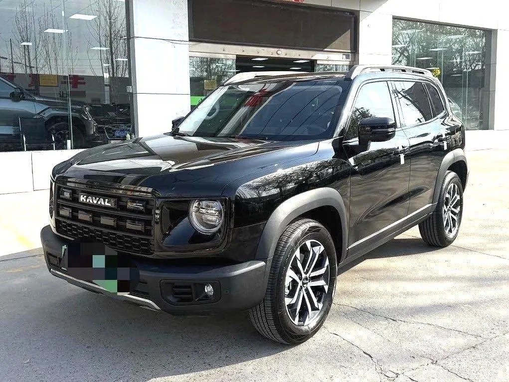 Haval 2026 big dog 2.0T Chinese garden dog version automatic gear - View 1