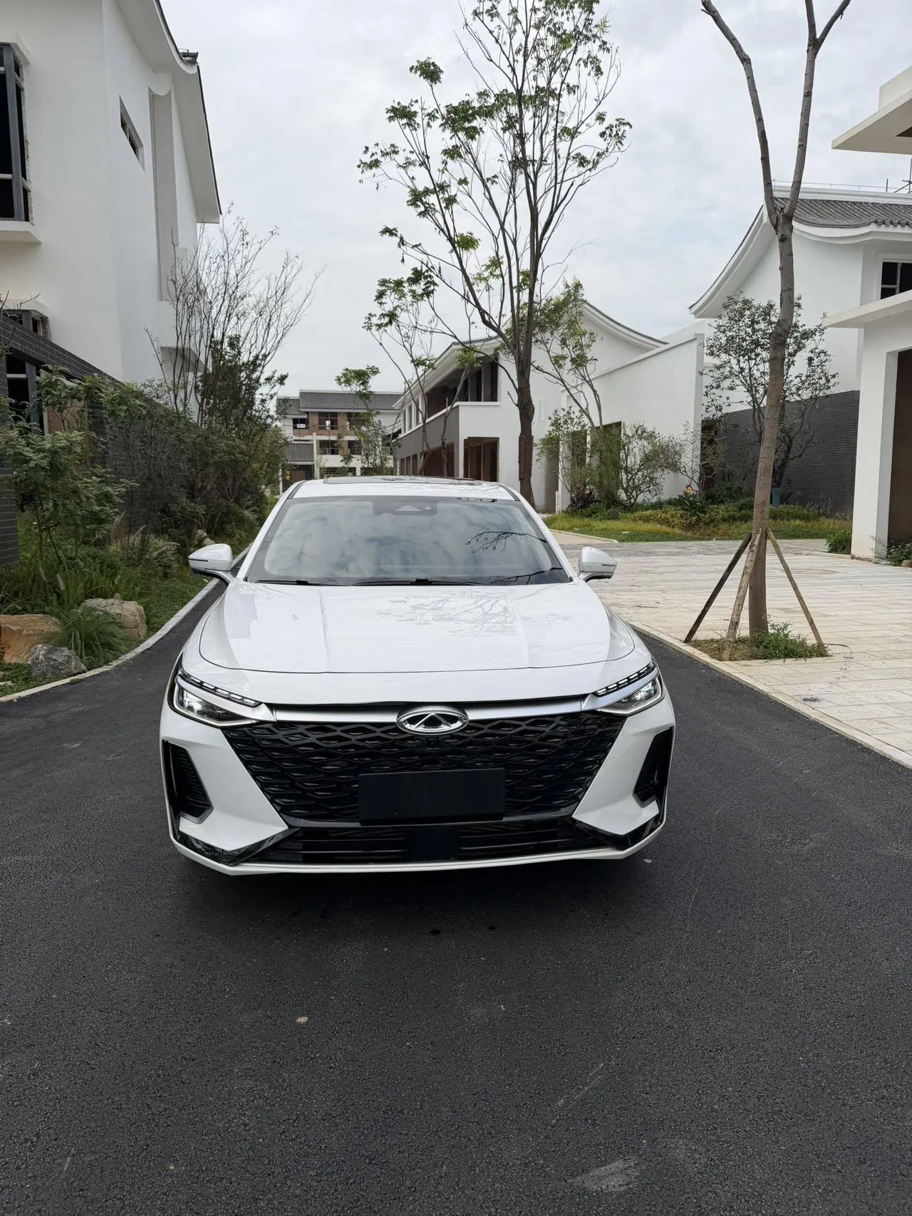 Chery 2025 Erez 8 1.6T Automatic Gear 3