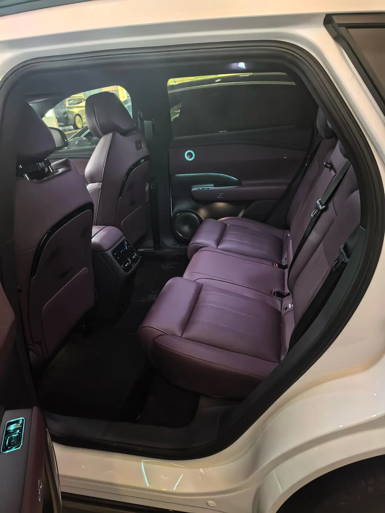 Voyah 2025 FREE Rear Drive Dry Kun Edition Automatic Gear 3