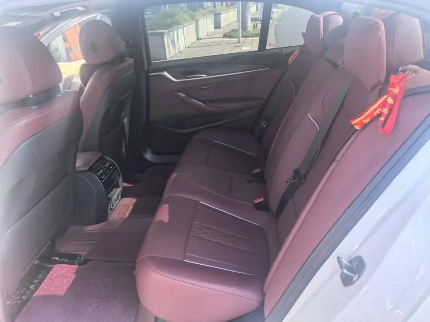 BMW 5 Series 2022 530Li 2.0T Leading Luxury Suit (Change 2) Automatic Gear 3