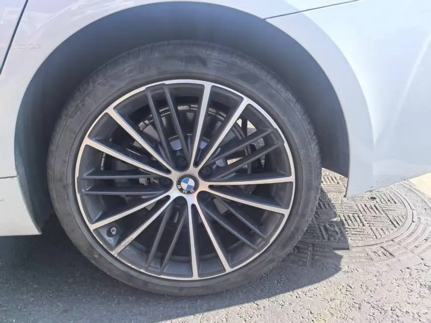 BMW 5 Series 2022 530Li 2.0T Leading Luxury Suit (Change 2) Automatic Gear 4