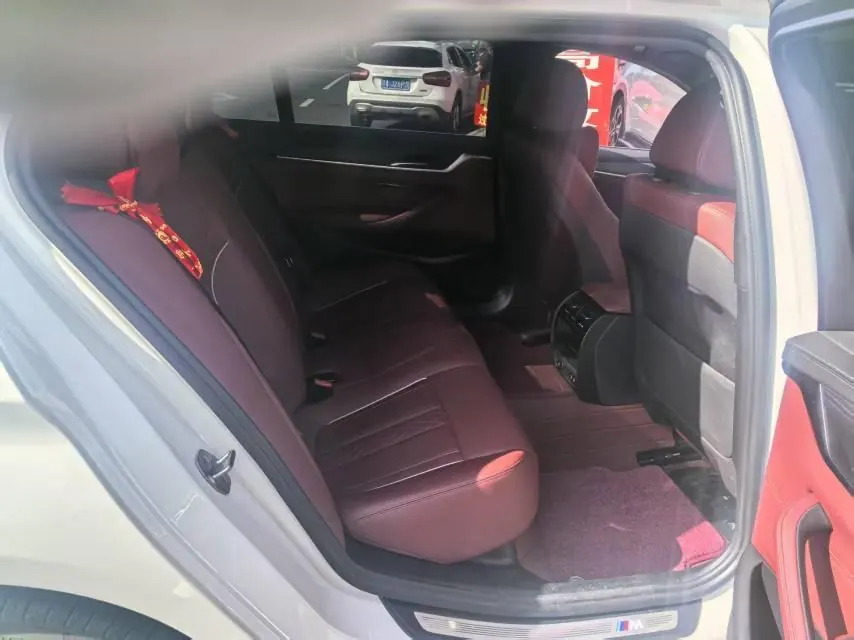 BMW 5 Series 2022 530Li 2.0T Leading Luxury Suit (Change 2) Automatic Gear 5