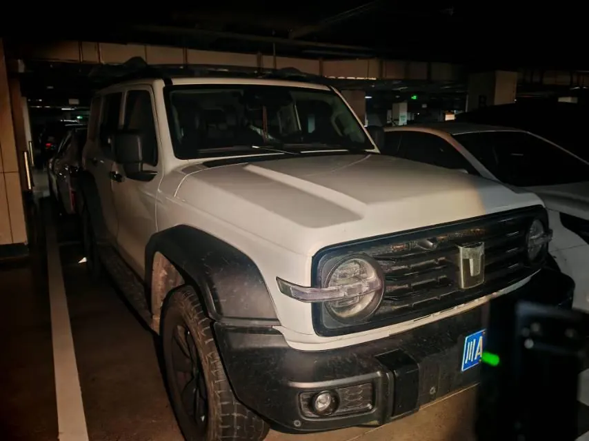 Tank 2023 Tank 300 2.0T Off-road Conqueror Automatic 2