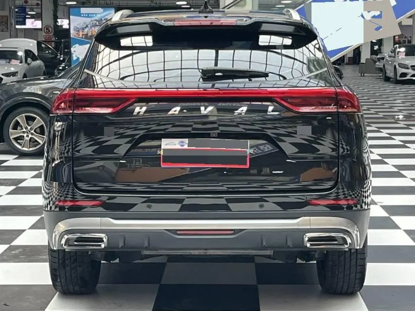 Haval 2023 H6 1.5T National Tide Champion Edition Automatic Gear 5
