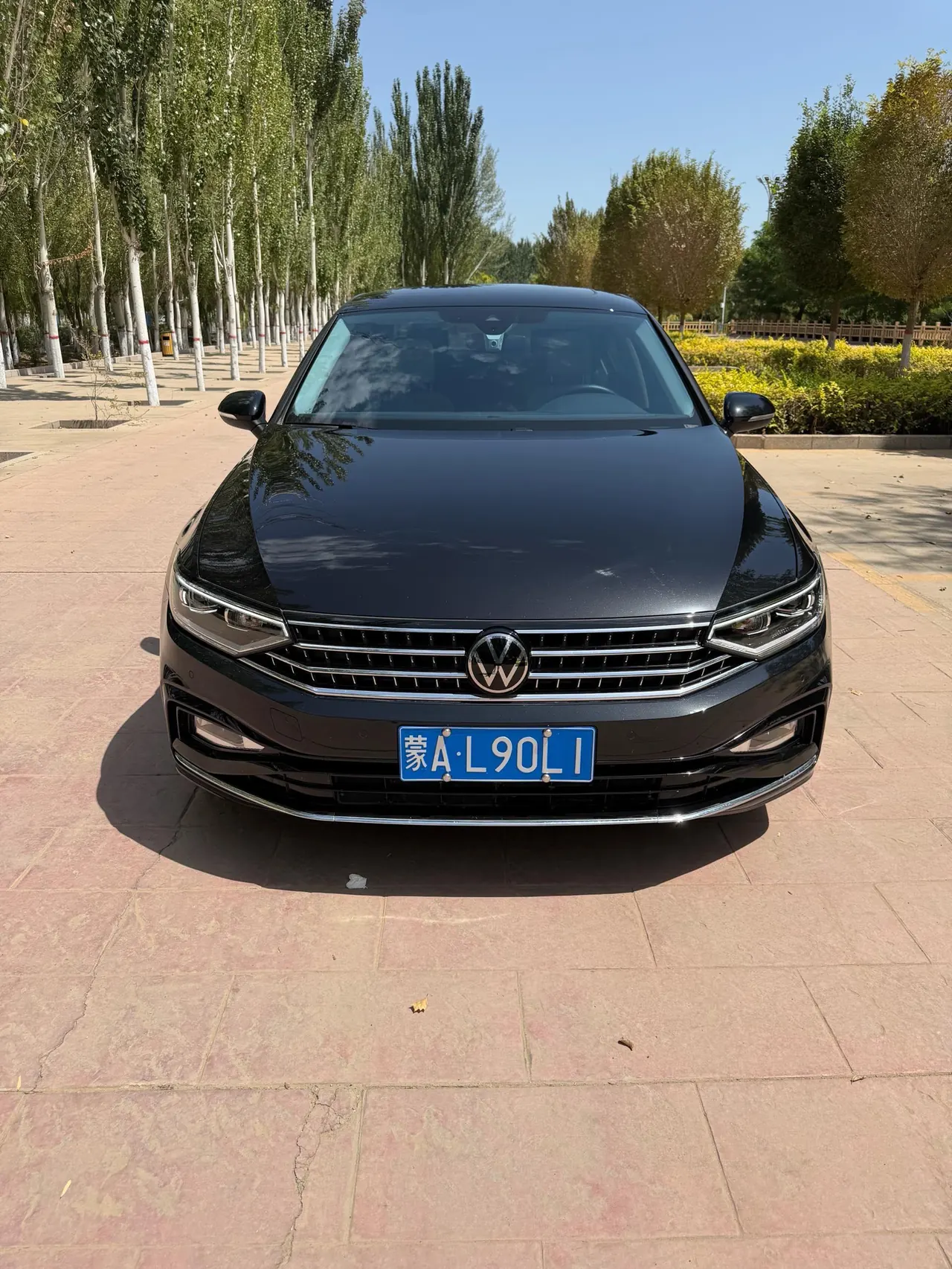 Volkswagen 2023 Magotan 2.0TSI 330TSI 2 million Commemorative Luxury Automatic Gear 3