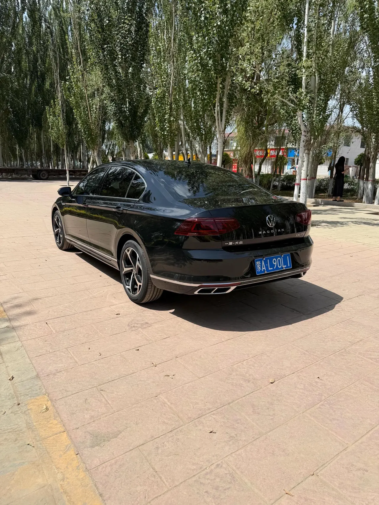 Volkswagen 2023 Magotan 2.0TSI 330TSI 2 million Commemorative Luxury Automatic Gear 9