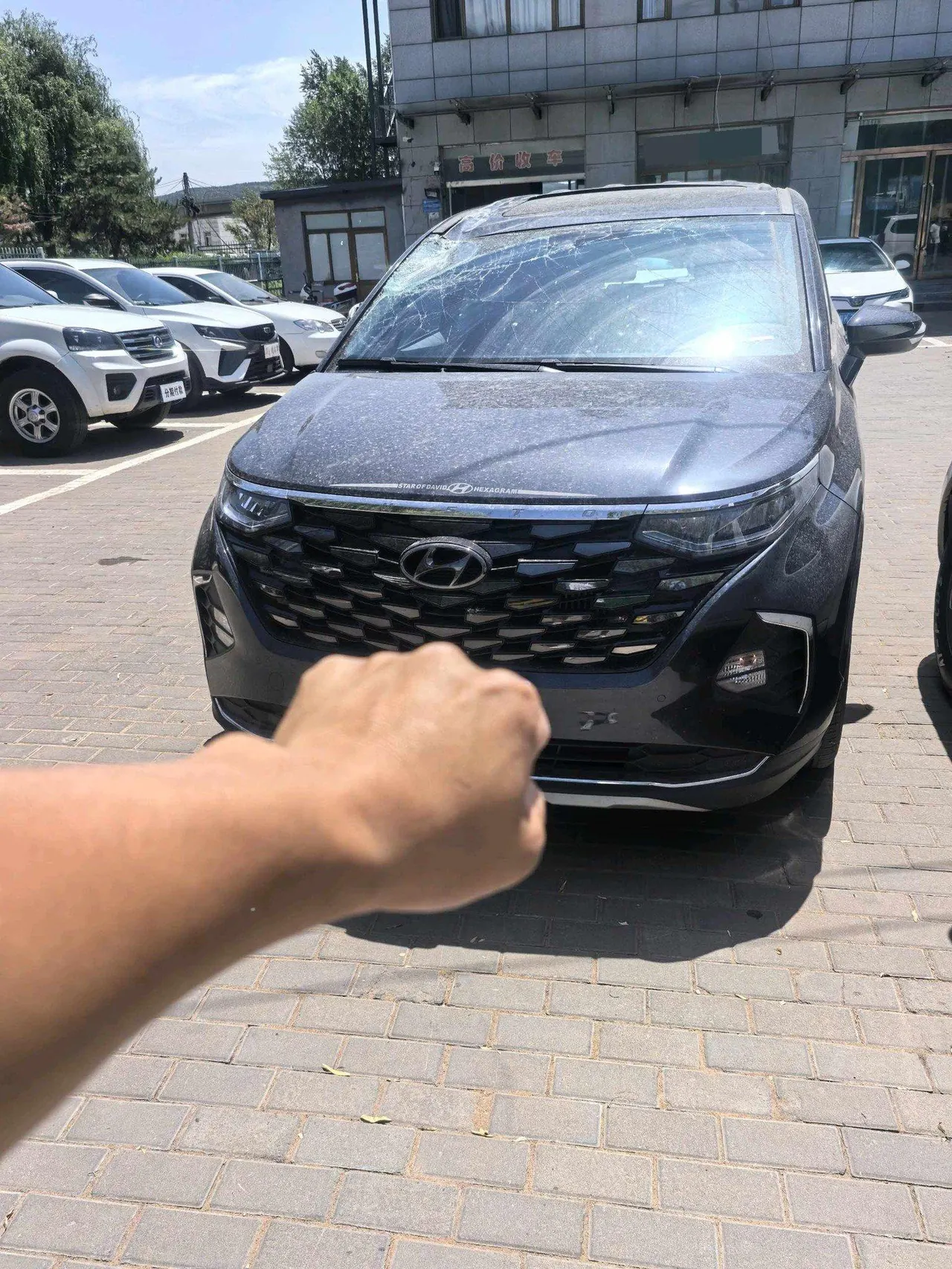 Hyundai 2024 Kusi Road 2.0TGDi 380TGDi LUX Premium Zhiai Distinguished Edition Automatic Gear 6