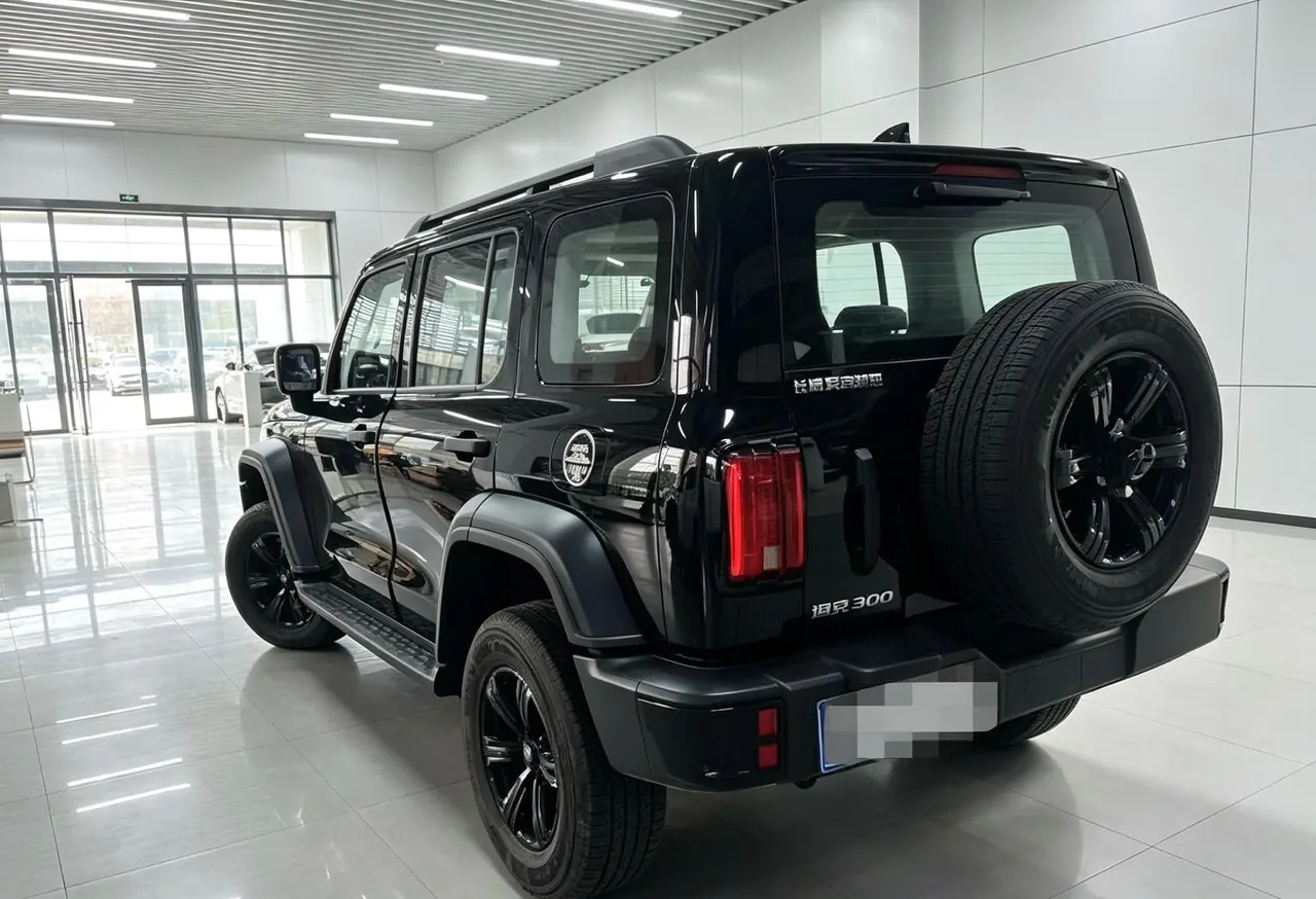Tank 2025 Tank 300 2.4T Diesel Edition Automatic Gear 5