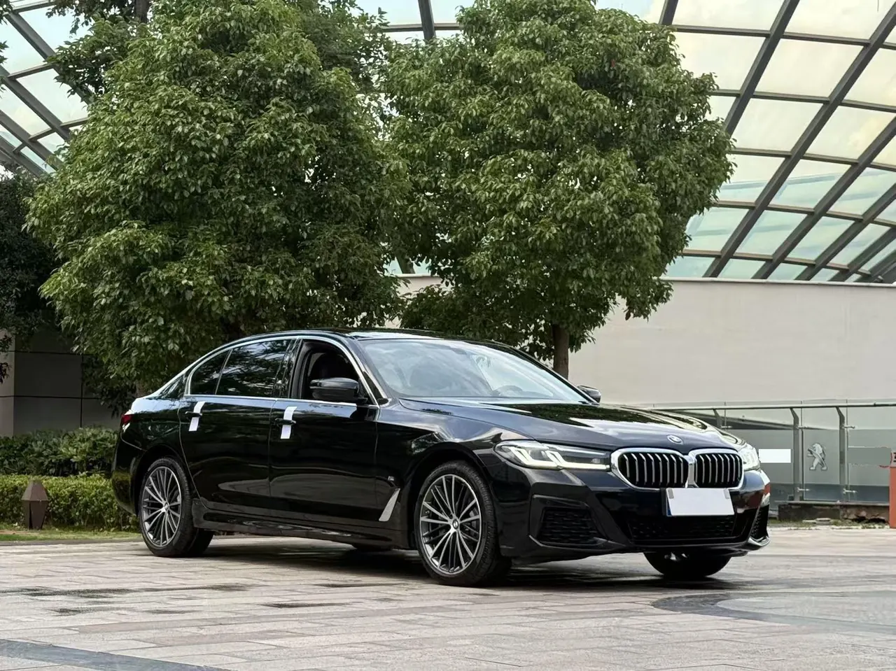BMW 5 Series 2022 530Li 2.0T Leading M Sports Suit Automatic Gear 3