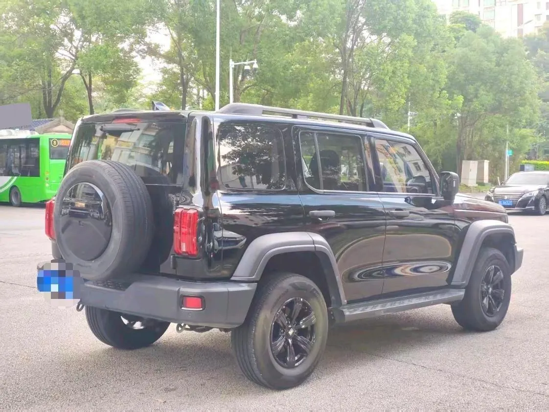 Tank 2021 Tank 300 2.0T Off-road Conqueror Automatic 5