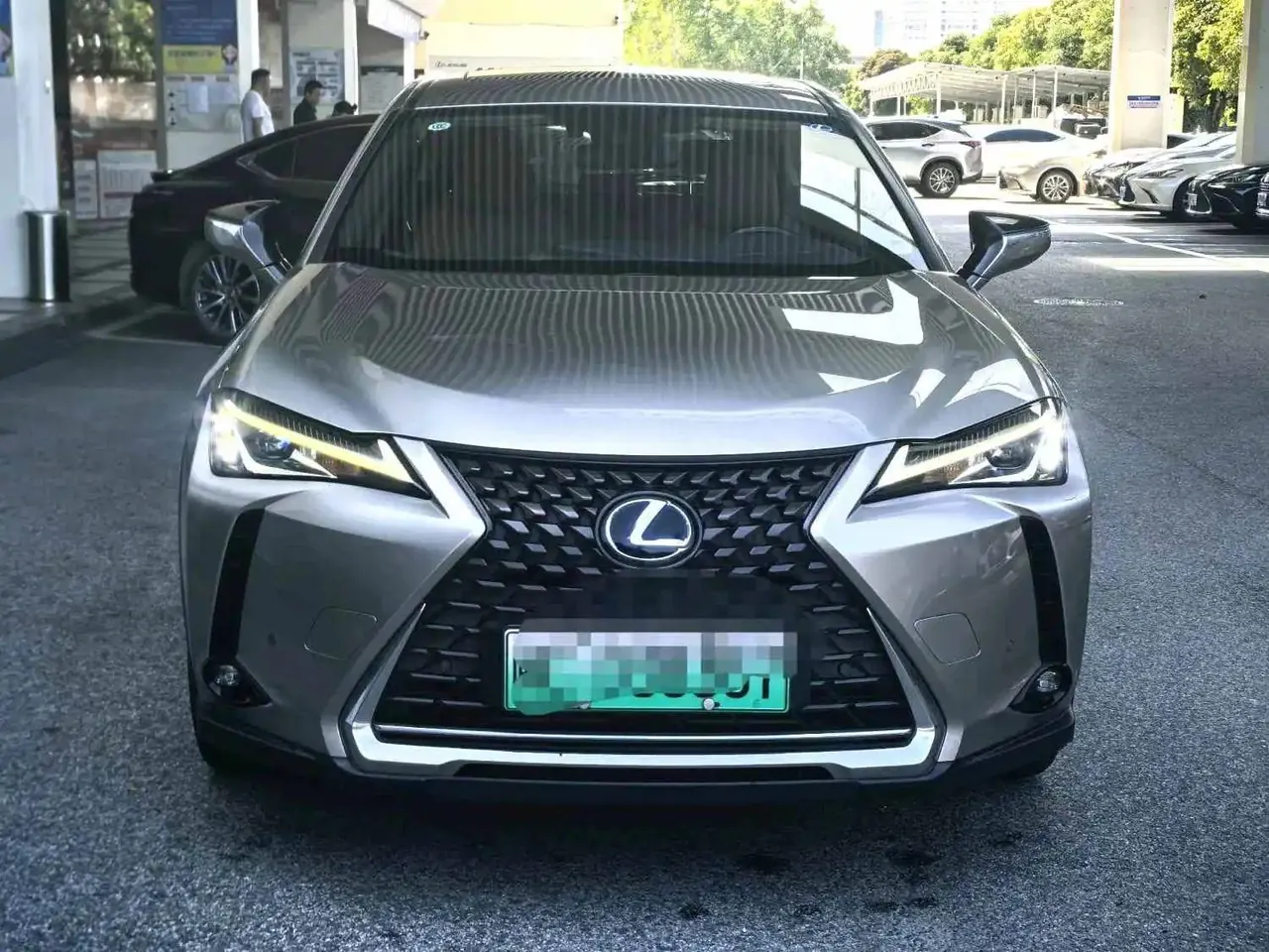 Lexus UX New Energy (Imported) 2020 UX 300e Pure Yue Edition Automatic Gear 8