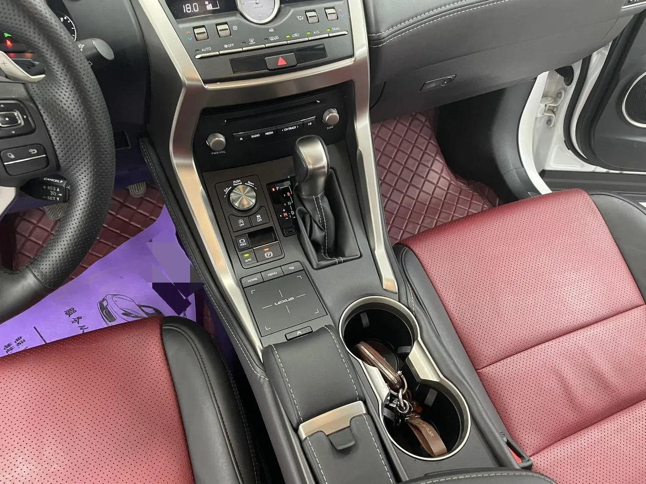 Lexus NX (Imported) 2020 NX200 2.0 Stepless Front Edition Automatic Gear 10