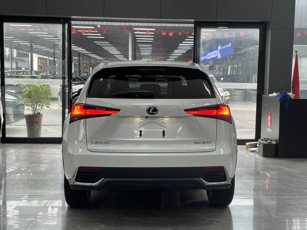Lexus NX (Imported) 2020 NX200 2.0 Stepless Front Edition Automatic Gear 13